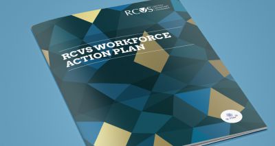 RCVS publishes Workforce Action Plan