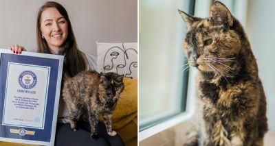 London cat declared ‘world’s oldest living’