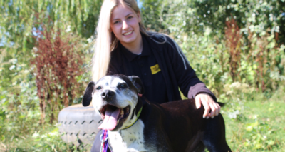 Dogs Trust releases statistics for 2022