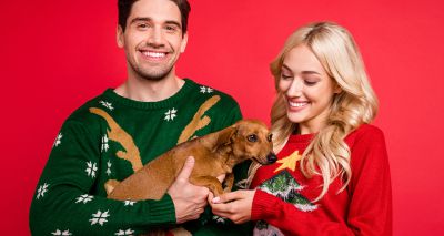 Consider animal welfare in festive knitwear, vets urge