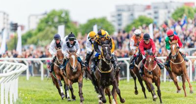 New biosecurity handbook for horse venues