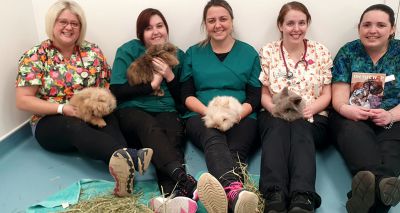 Rabbit-friendly vet awards announces winners