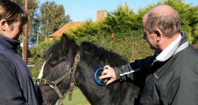 Equine ID system has “golden chance to be fixed”