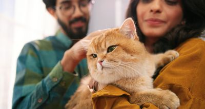 Search begins for National Cat Awards 2023