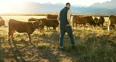 Government announces new grants for farmers