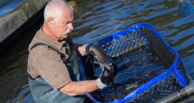 Funding for new training courses in seafood sector