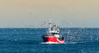 Defra announces sites of Highly Protected Marine Areas