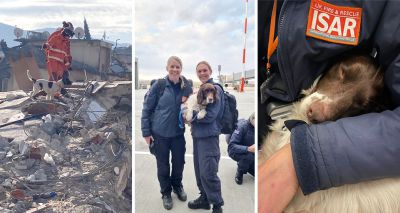 Former rescue dog praised for saving earthquake survivors