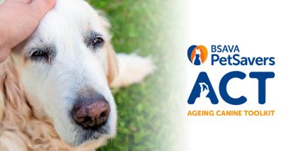 Ageing Canine Toolkit launched