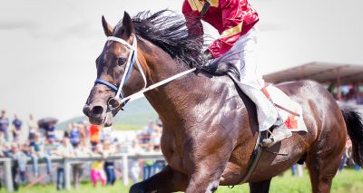 Study finds overheating predictors in thoroughbreds