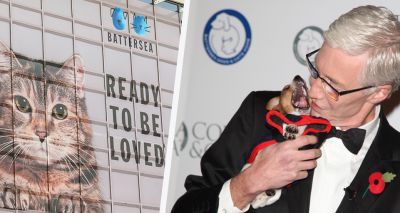 Donations pour in for Battersea's Paul O'Grady tribute fund