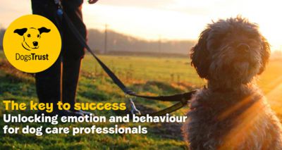 Dog care professionals invited to new conference