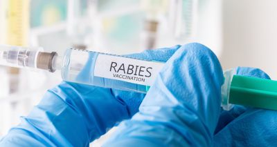 Action needed to eradicate rabies, study finds