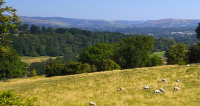 First Welsh strategy to tackle wildlife and rural crime