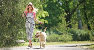 ‘Dogs die on hot walks’, new campaign warns