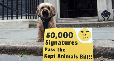 Dogs Trust delivers letter to Prime Minister