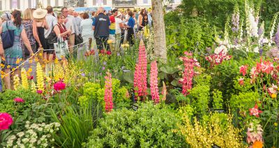 RSPCA’s wildlife garden wins medal at Chelsea