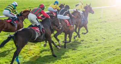 New project to explore ways to improve racehorse safety