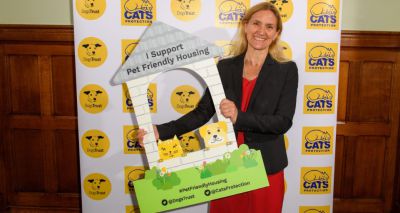 Charities discuss pet-friendly renting with MPs