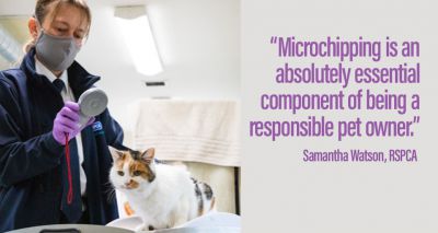 Many people unaware of new cat microchipping law