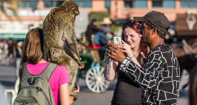 Don’t take ’selfish selfies’, holidaymakers urged