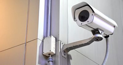 CCTV in abattoirs improves welfare, report finds