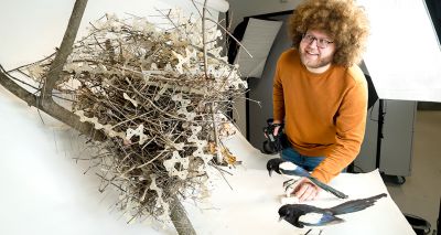 Birds using anti-bird spikes to make nests, study finds