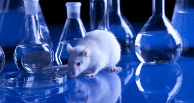 Calls for Government to phase out animal experiments