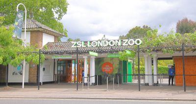 London Zoo prepares for annual weigh-in