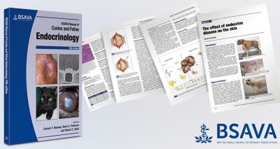 BSAVA publishes new edition of endocrinology manual