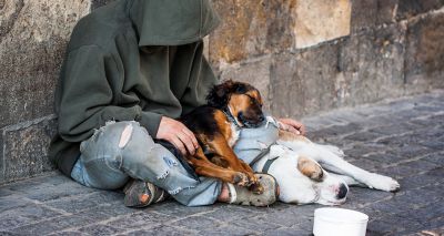 Dogs provide critical support for homeless people, study finds