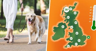 Weather forecast launched for dog owners