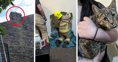 RSPCA rescues cat from chimney