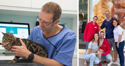 UK’s first blood bank for cats established