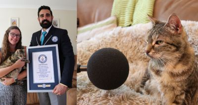 Cat breaks record with world’s loudest purr