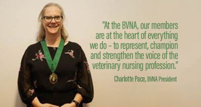 BVNA survey calls for nursing voices