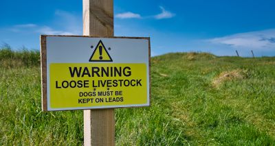New initiative to tackle livestock worrying