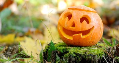 Don’t dump pumpkins after Halloween, public urged