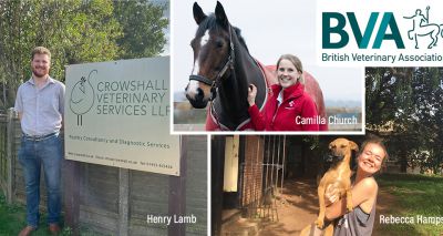 Young Vet of the Year finalists revealed