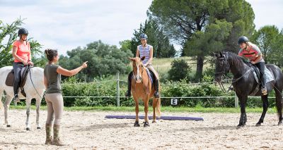 Workforce challenges impacting horse-riding centres