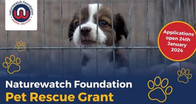 Naturewatch Foundation to launch Pet Rescue Grant