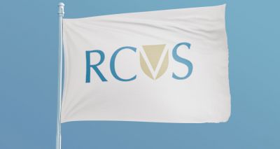 RCVS launches Surveys of the Professions 2024