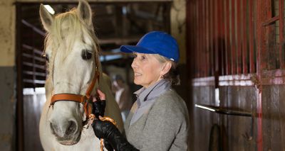 Cost-of-living survey launched for horse keepers