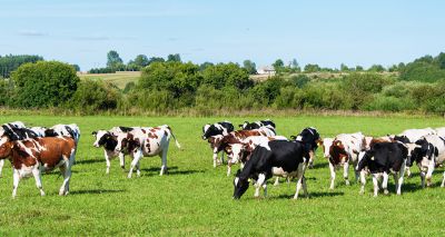 New bovine TB testing rules for Wales