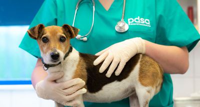 PDSA opens clinic in North London