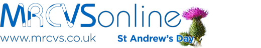 st andrews day 2014
