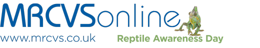 reptile awareness day 2014